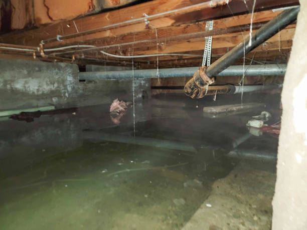 Best Residential water damage restoration  in Munday, TX