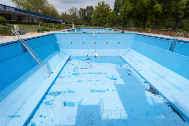 Best Mold removal after water damage  in Munday, TX