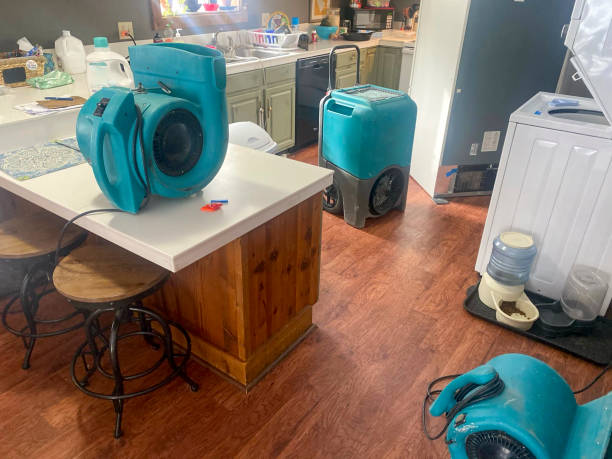 Best Sewage cleanup and water damage restoration  in Munday, TX