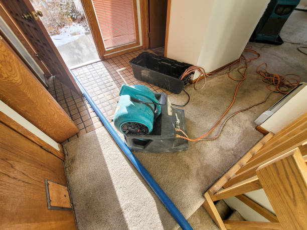 Best Water damage restoration mold remediation  in Munday, TX