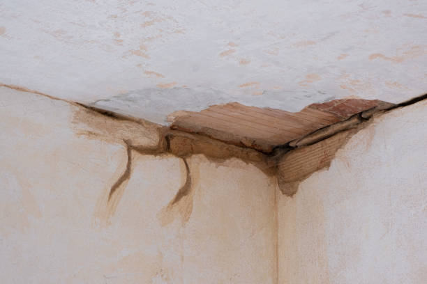 Best Water damage contractors near me  in Munday, TX