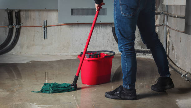 Water damage restoration mold remediation in Munday, TX