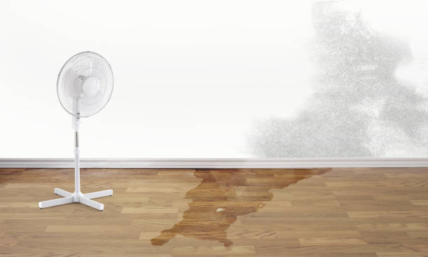 Best Fire Damage Restoration  in Munday, TX