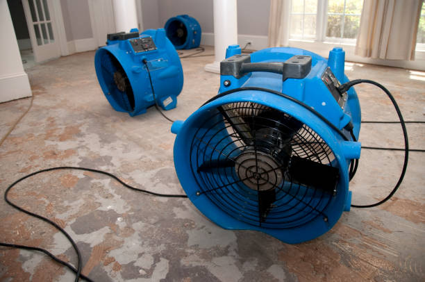 Best Water damage restoration near me  in Munday, TX
