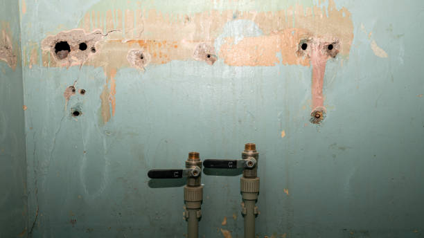 Best Basement water damage restoration  in Munday, TX