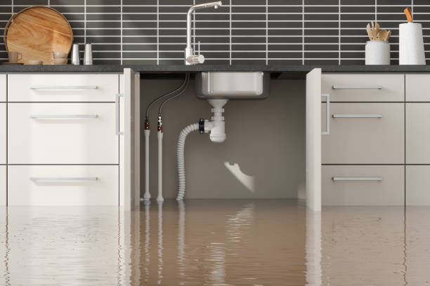 Best Professional water damage repair  in Munday, TX