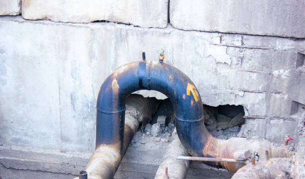 Best Flood damage cleanup  in Munday, TX