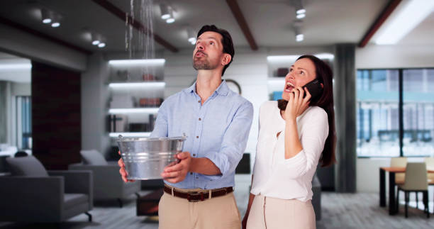 Best Water damage restoration experts  in Munday, TX